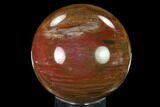 Colorful Petrified Wood Sphere - Madagascar #135657-1